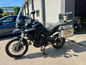  Triumph Tiger