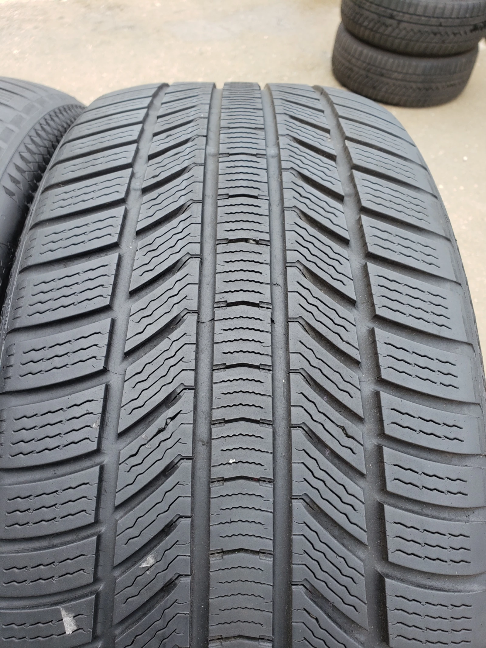 Гуми Зимни 255/40R21