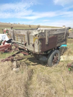 Друг вид Български 10000, снимка 3