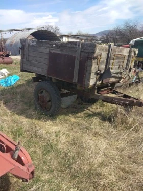 Друг вид Български 10000, снимка 2