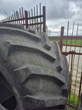 ���� | Mobile.bg � ����� ������ 8