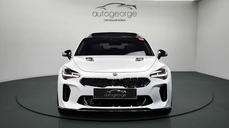 Kia Stinger 2.0 Turbo 2WD Platinum, снимка 3 - Автомобили и джипове - 49532228