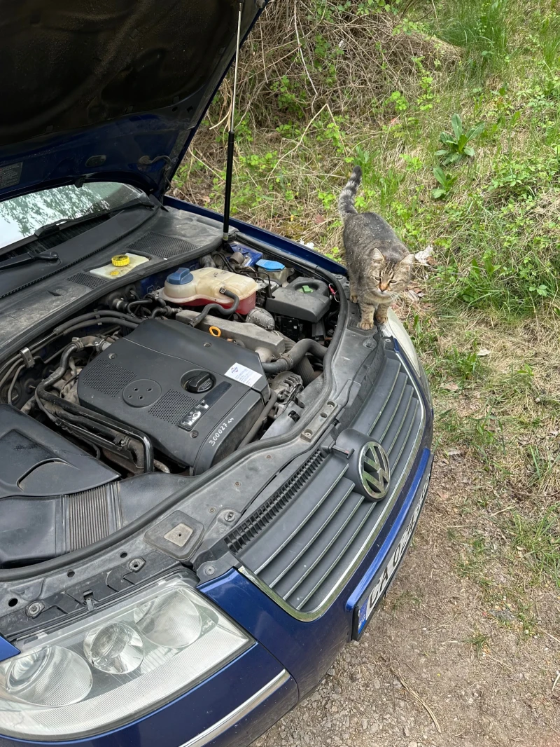 VW Passat, снимка 11 - Автомобили и джипове - 52915181