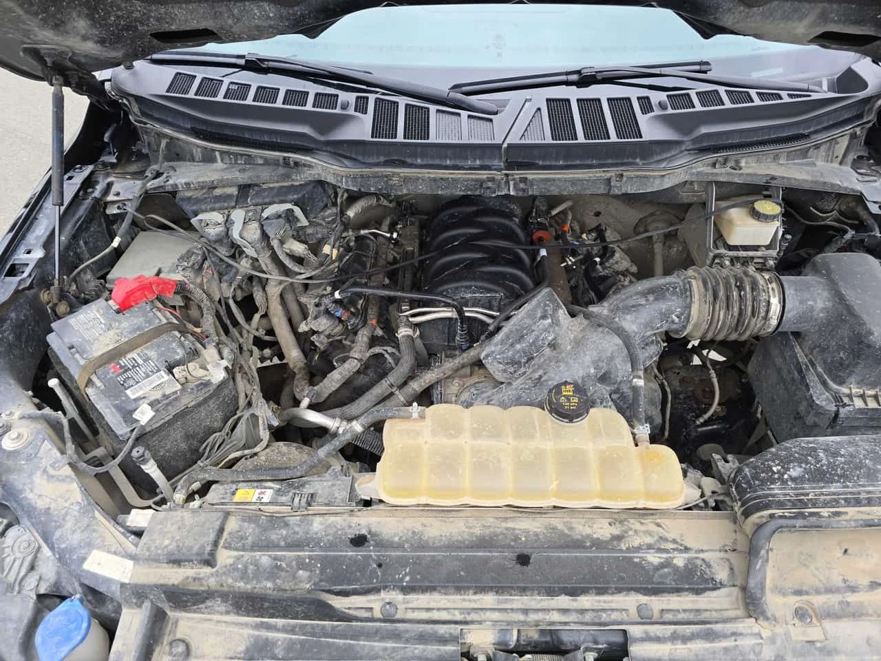 Ford F150 * 4WD SuperCrew Box * KEYLESS*  | Mobile.bg � ����������� 10