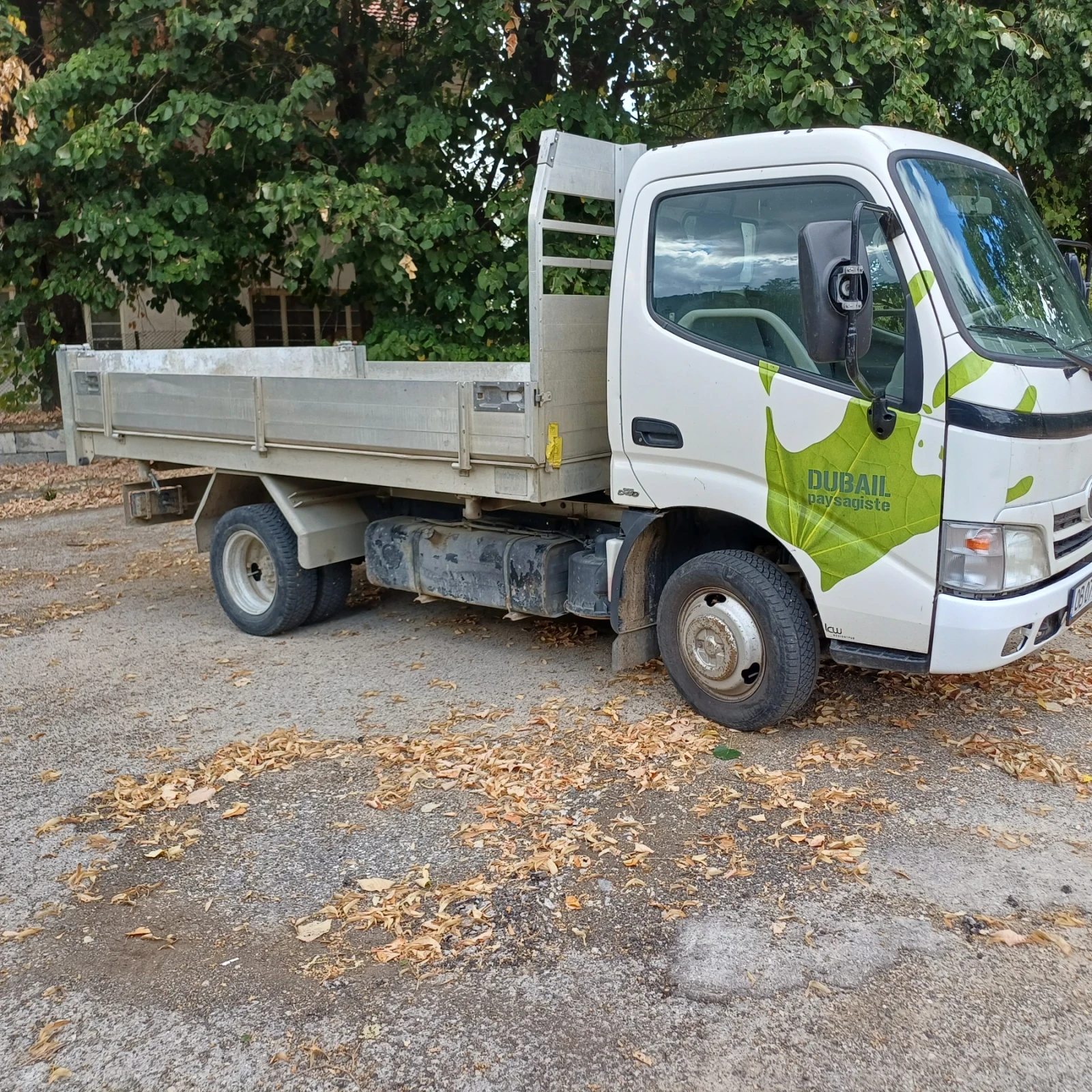 Toyota Dyna 3.0 D, снимка 2 - Камиони - 56208824