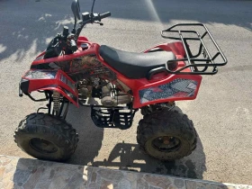 Shineray XY FX | Mobile.bg � ����� ������ 2