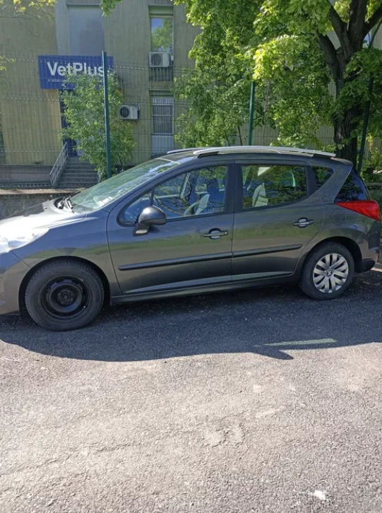 Peugeot 207 1.4 ГАЗ, снимка 4 - Автомобили и джипове - 54430330