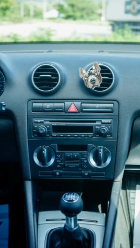 Audi A3 2.0 TDI S-Line* BOSE* Кожа* , снимка 13