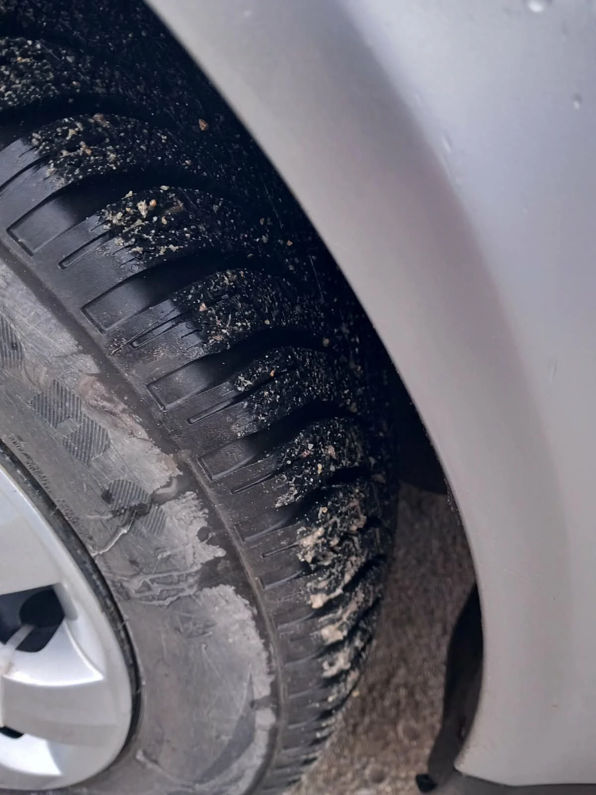 Skoda Octavia 1.9 | Mobile.bg � ����������� 6