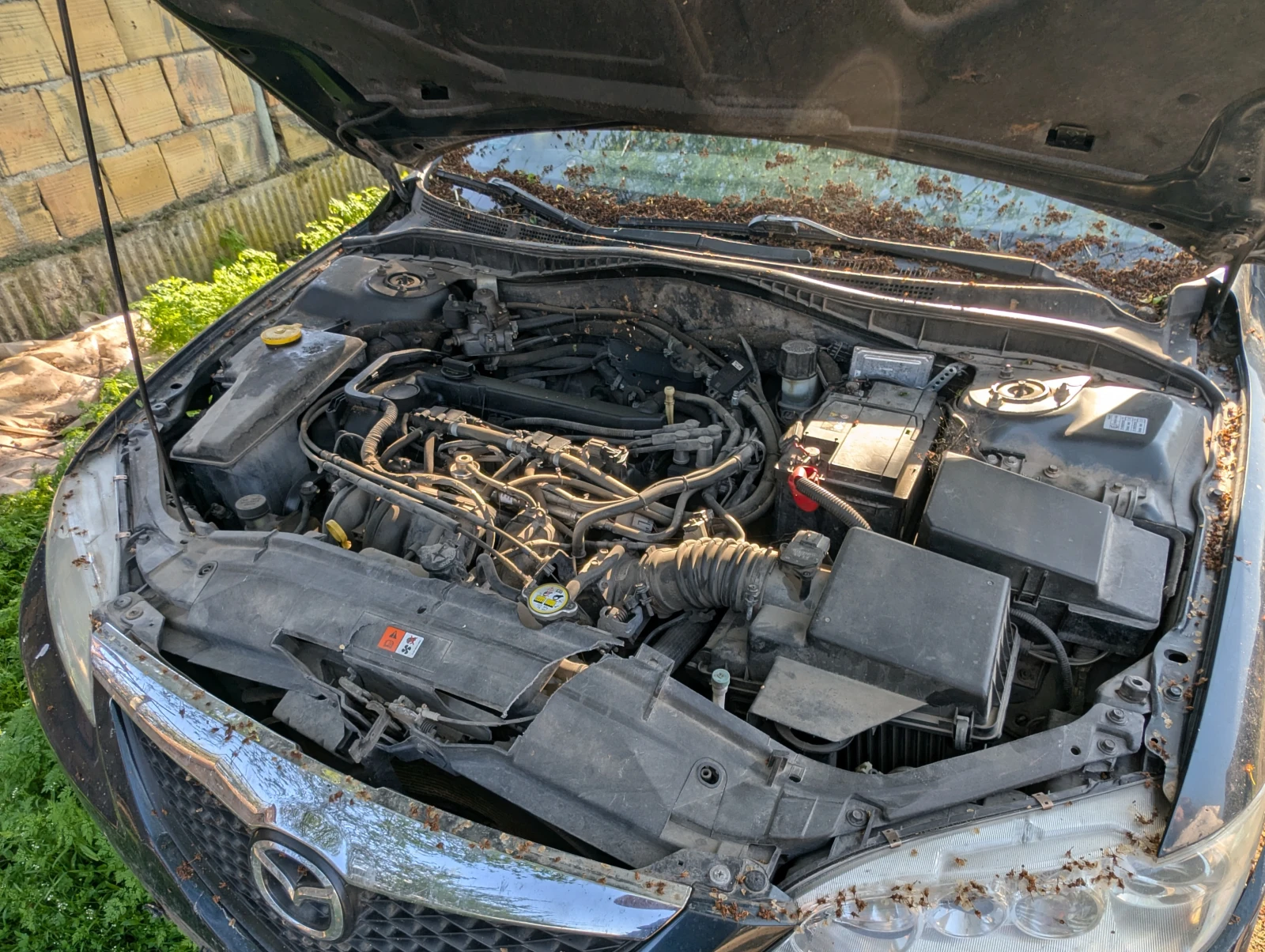 Mazda 6  - изображение 8
