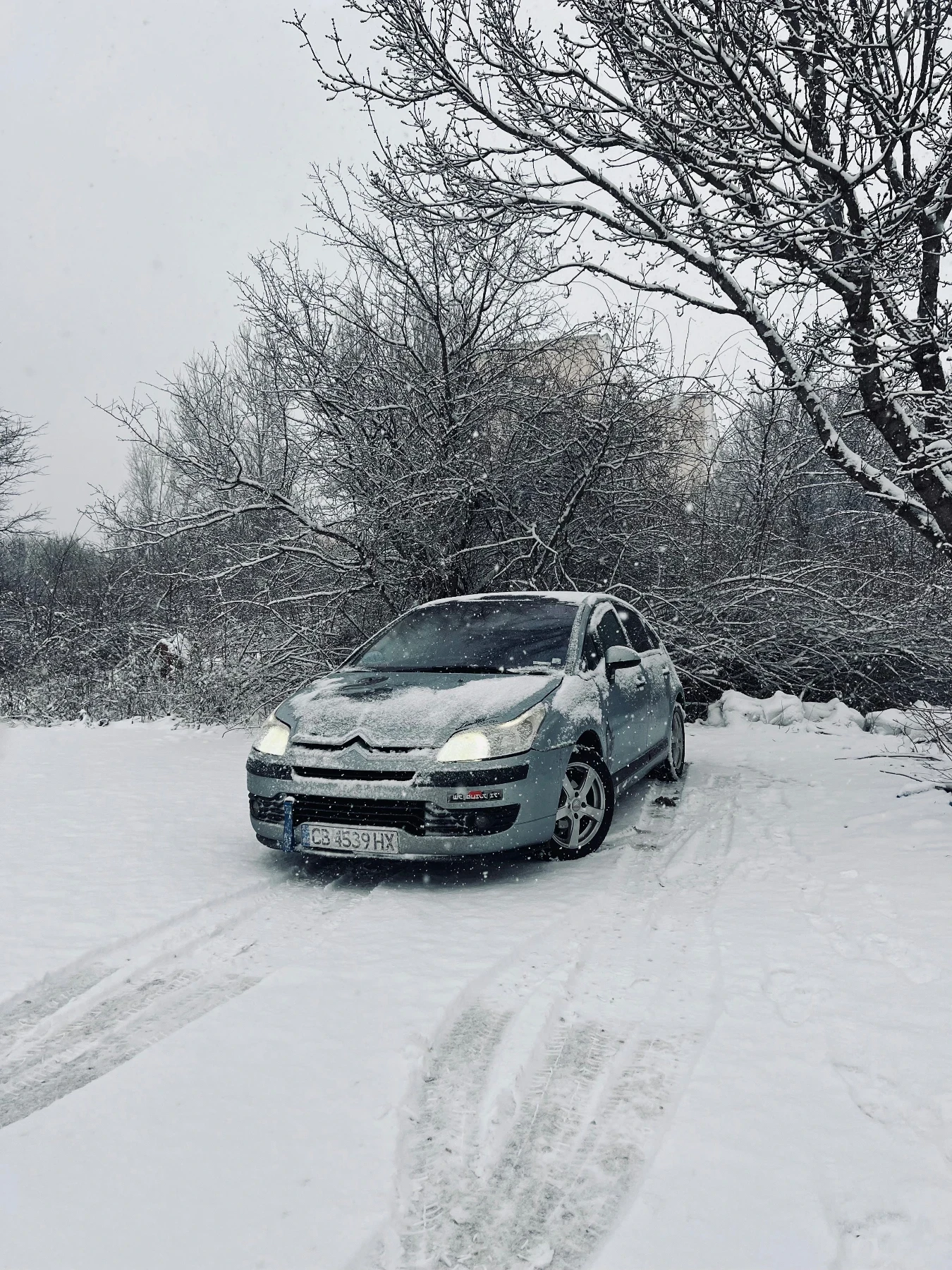 Citroen C4 1.4, снимка 14 - Автомобили и джипове - 54883987