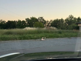 Audi SQ5 Panorama* Head-Up* Matrix* 360* ACC, снимка 15