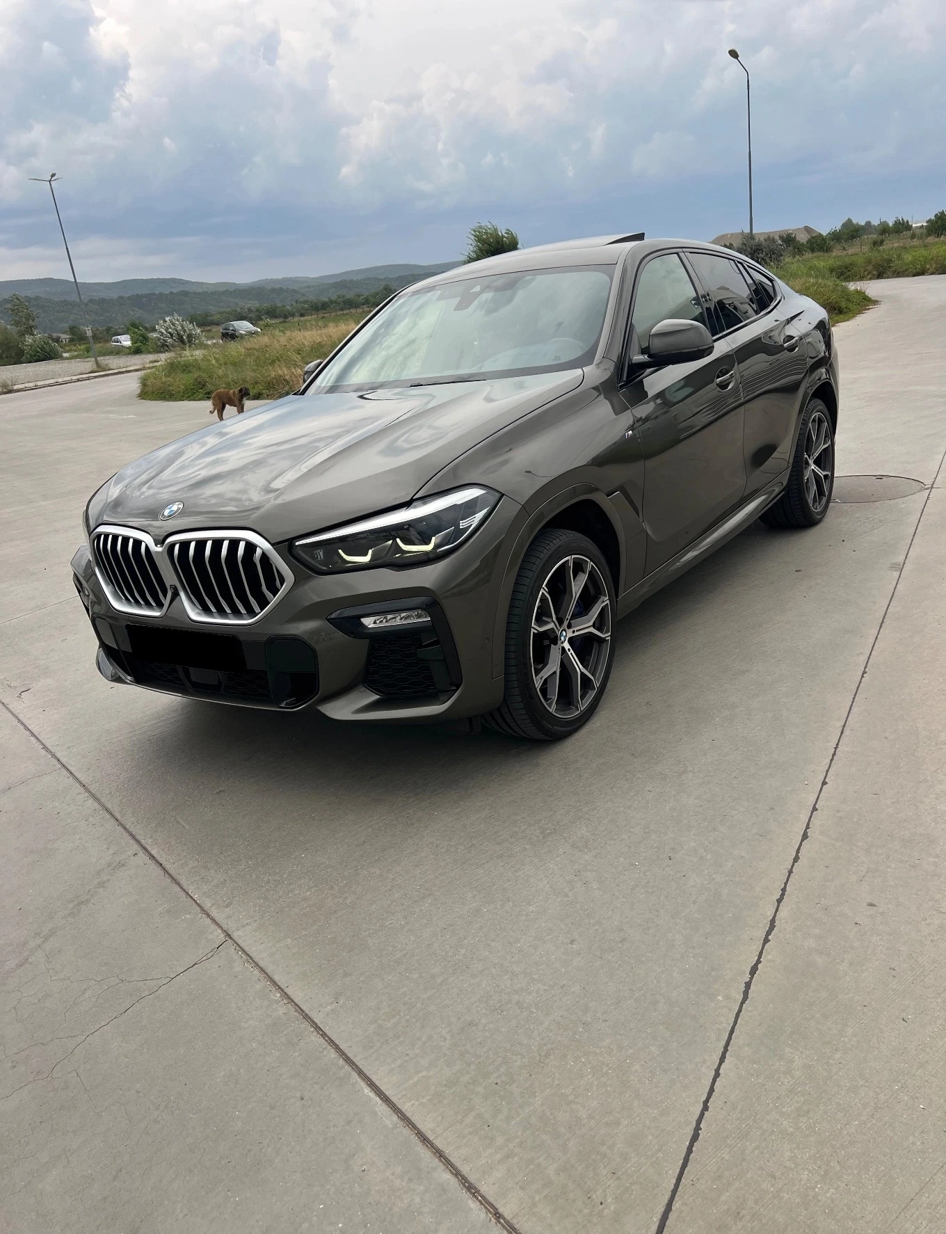 BMW X6 xDrive 30d - изображение 2