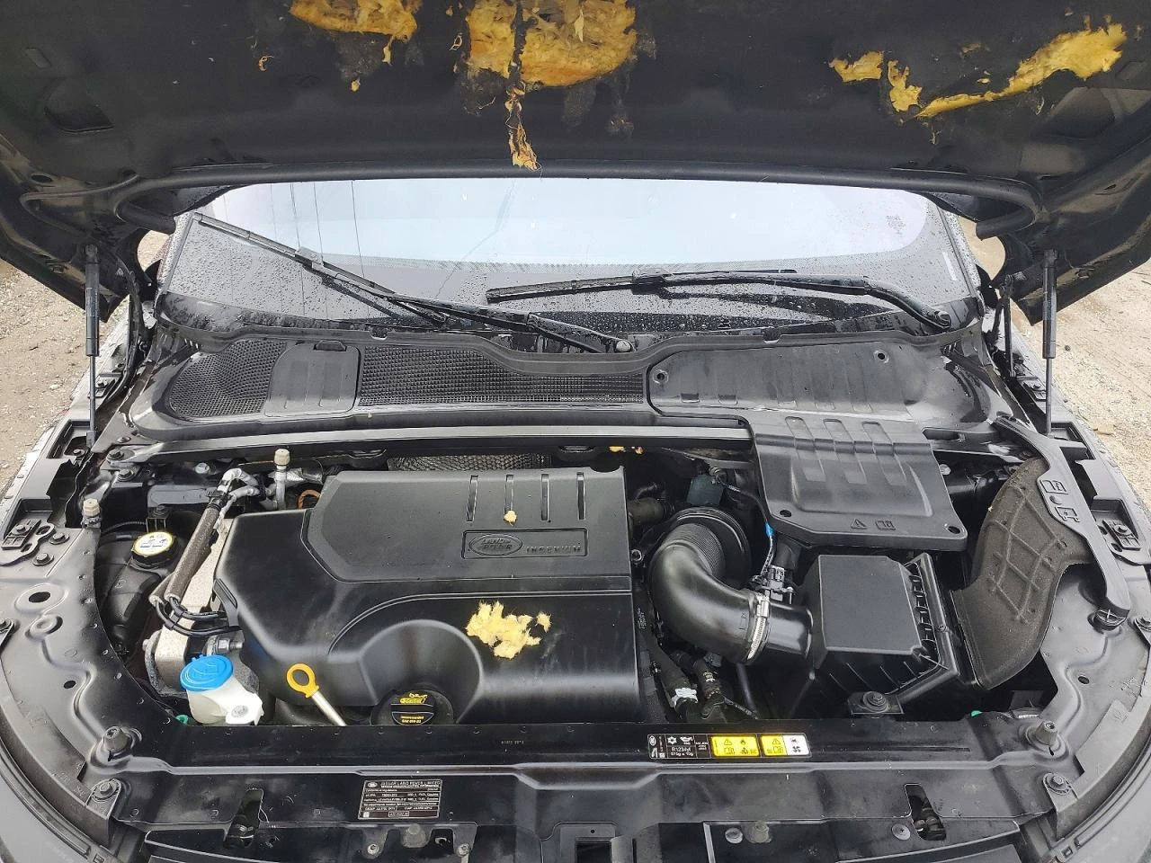 Land Rover Range Rover Evoque ��������� ������ ���� �� ��������  | Mobile.bg � ����������� 12