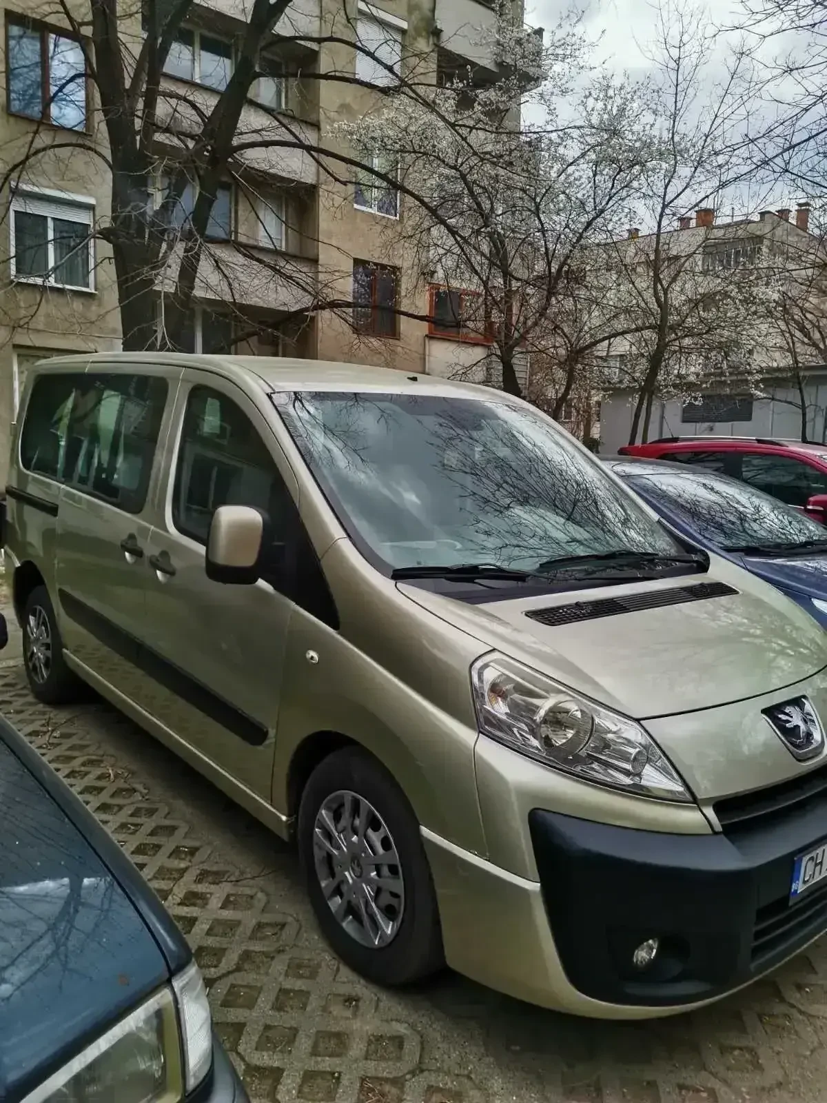 Peugeot Expert Tepee