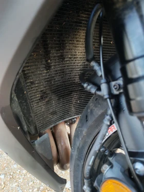 Honda Cbr | Mobile.bg � ����� ������ 14