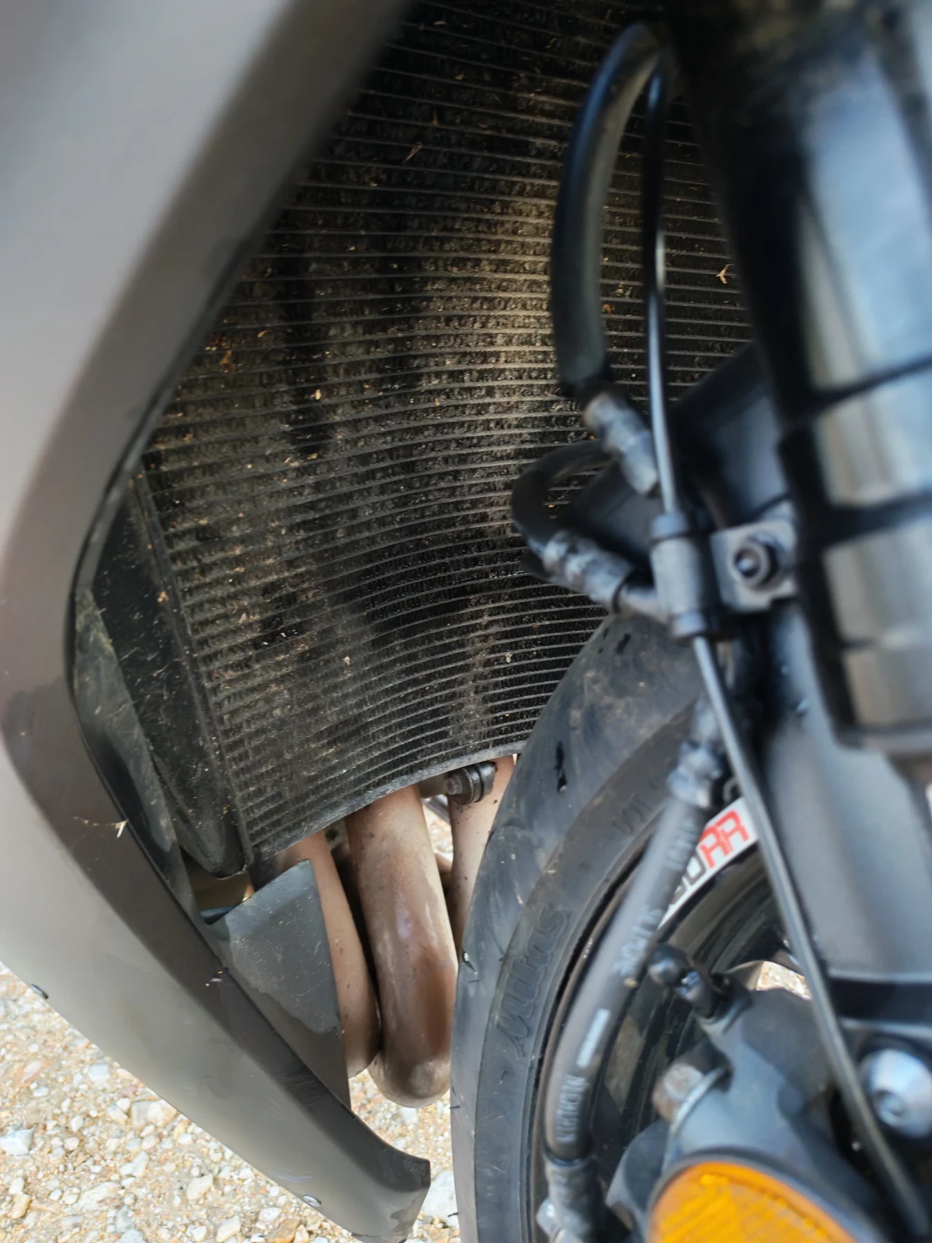 Honda Cbr | Mobile.bg � ����������� 14