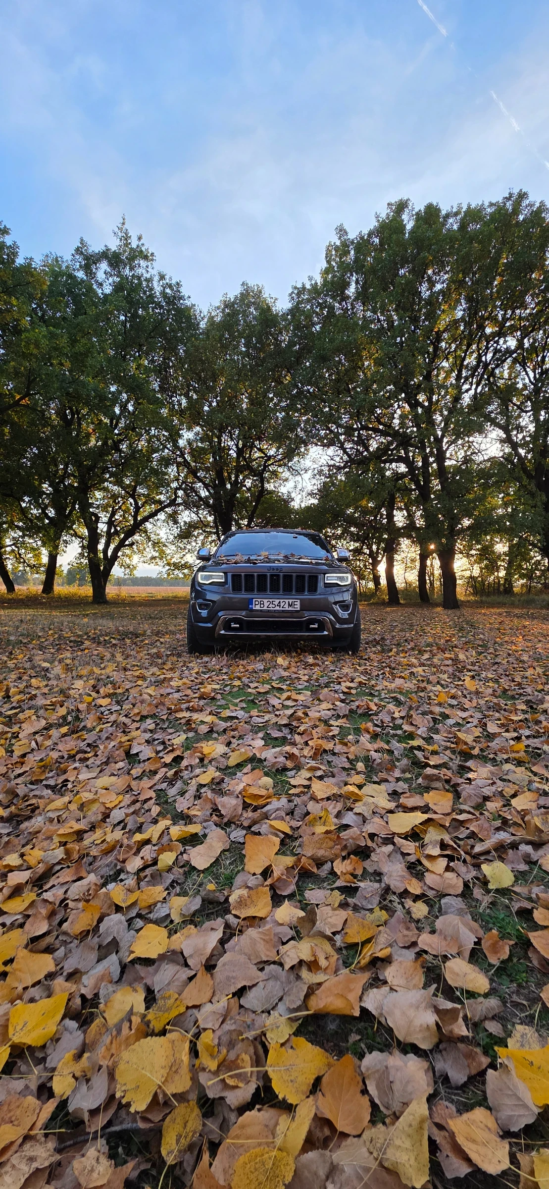 Jeep Grand cherokee