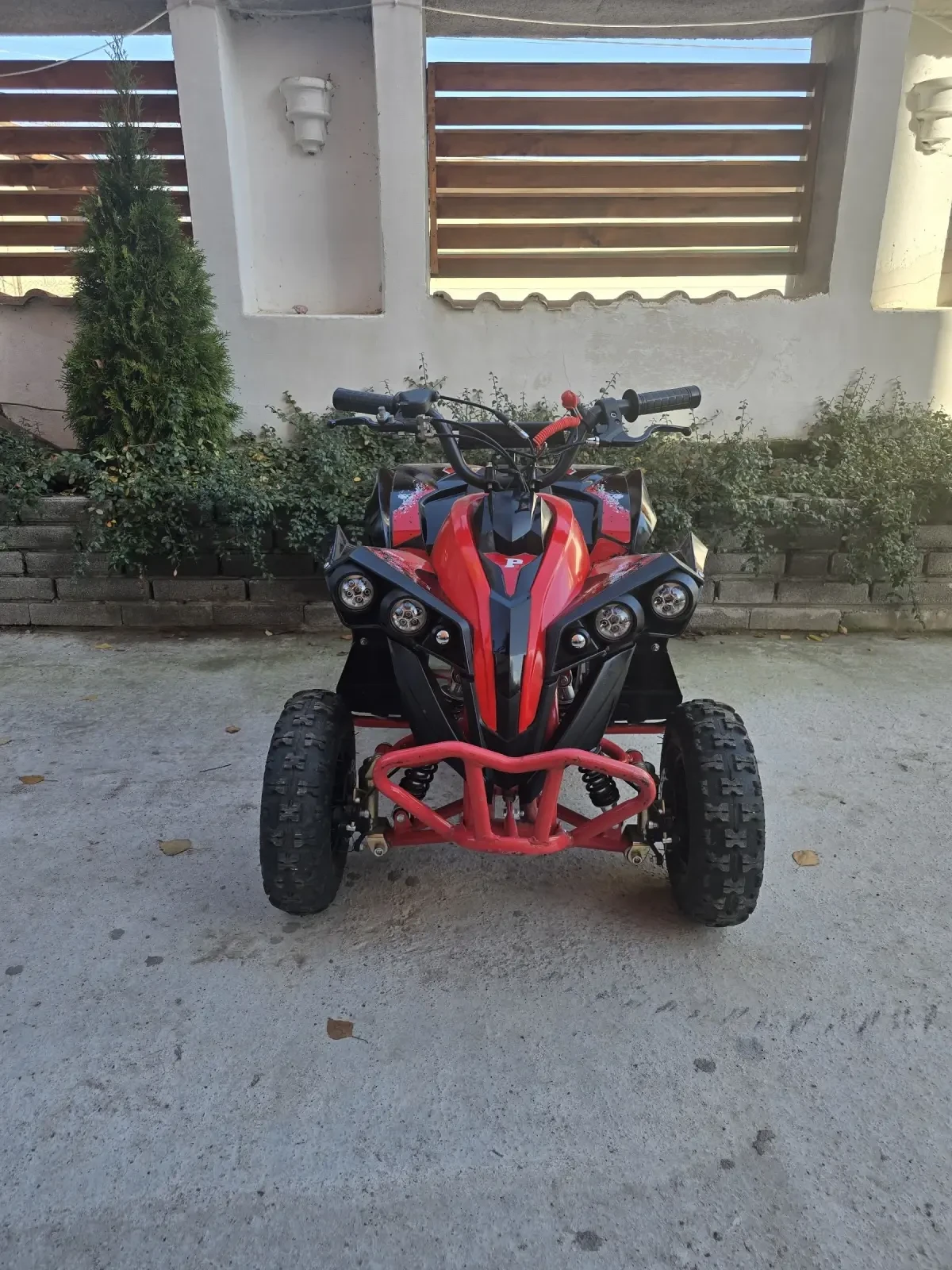 Motoretta D1, снимка 6 - Мотоциклети и мототехника - 54509102