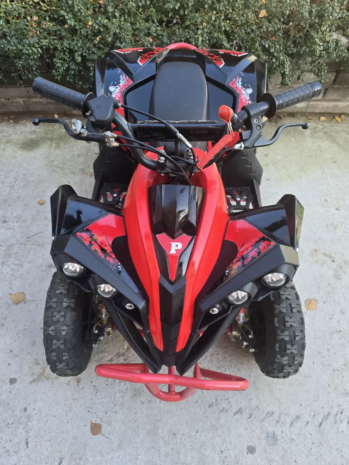 Motoretta D1
