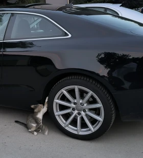 Audi A5, снимка 4