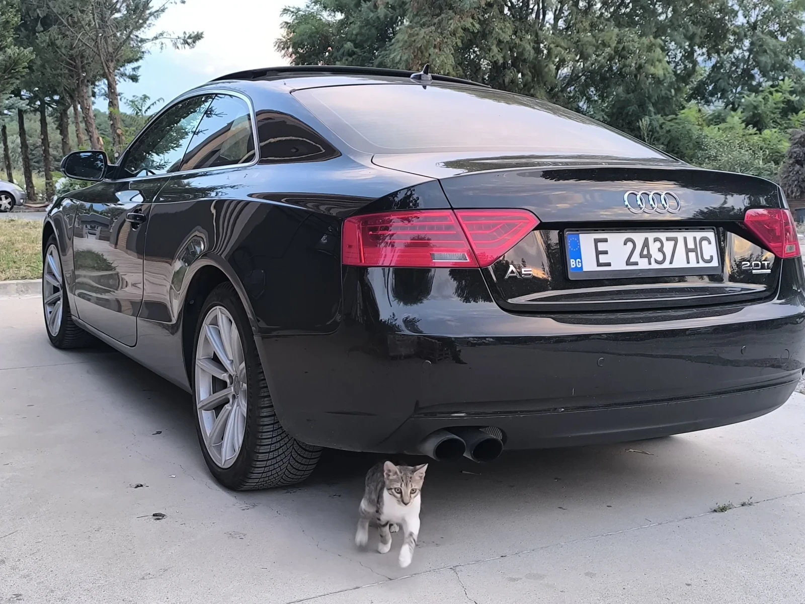 Audi A5