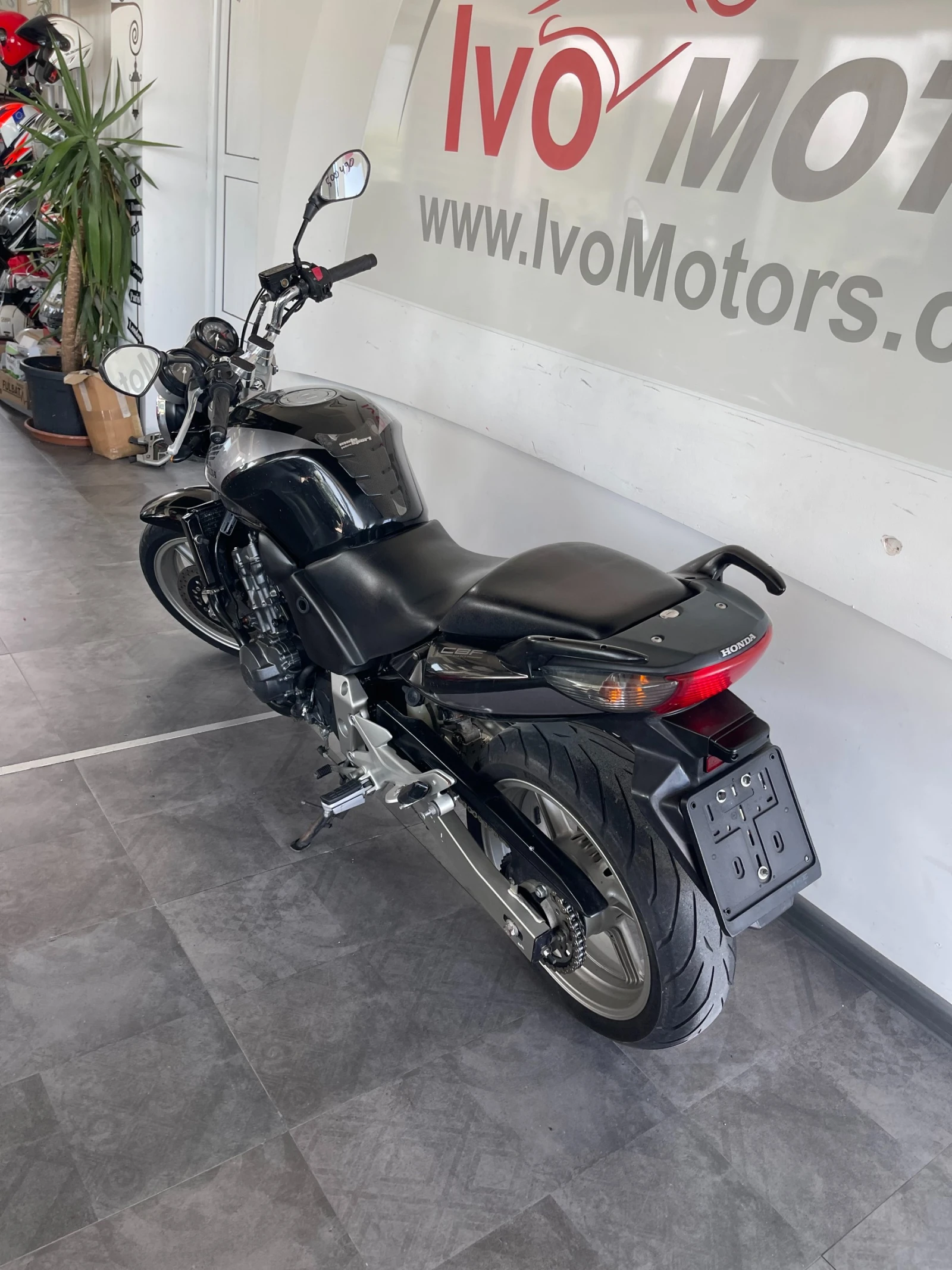 Honda Cbf 600 - изображение 2