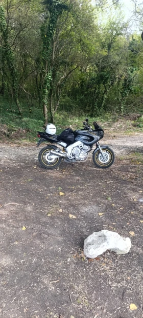 Yamaha Tdm, снимка 2