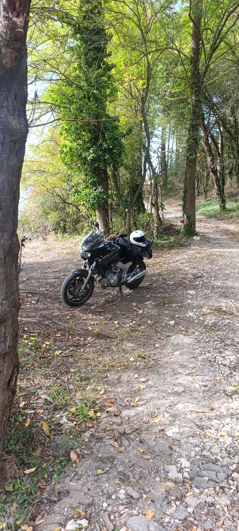 Yamaha Tdm