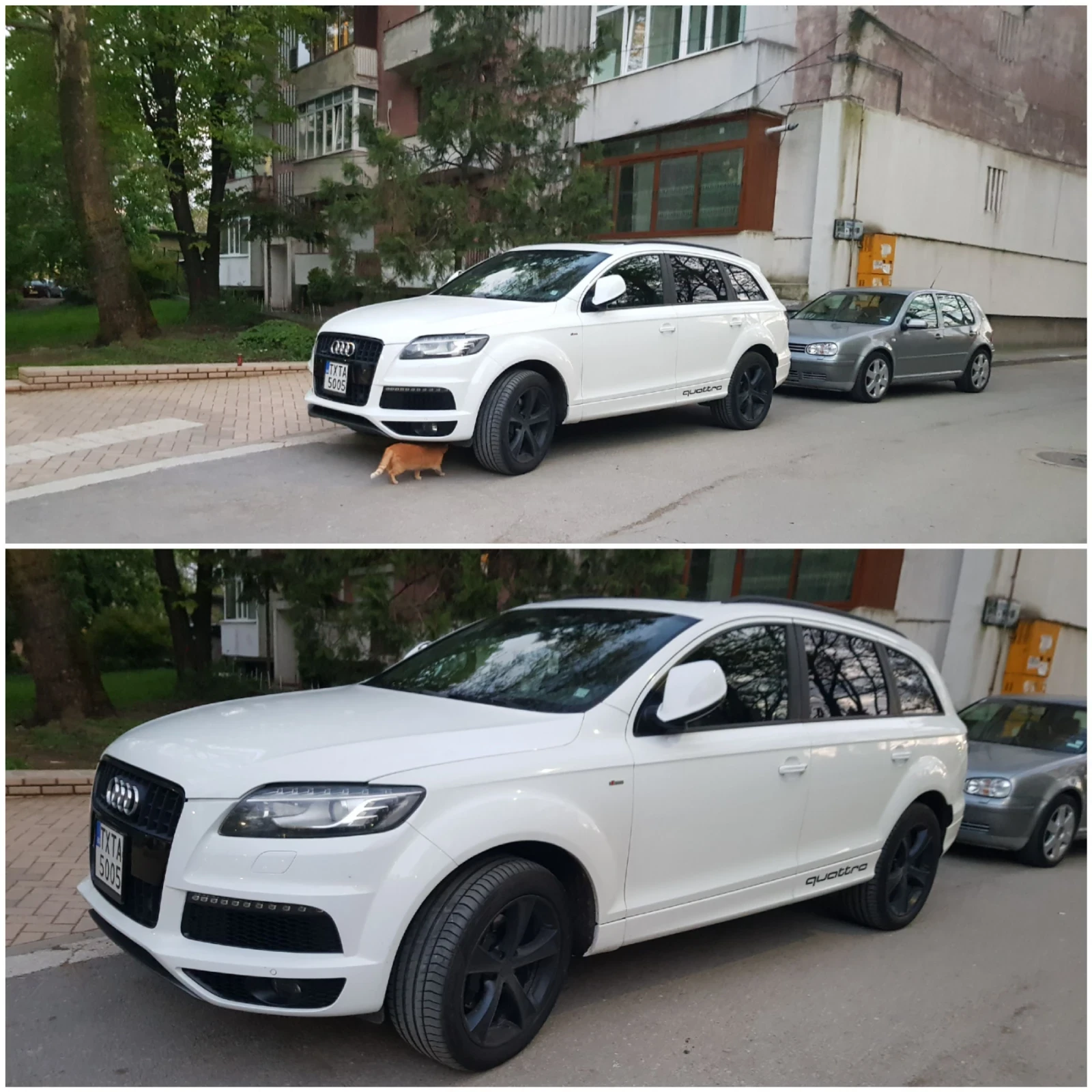 Audi Q7 AudiExclusive4.2TDI 340HP/6+ 1/3xS-Line/GearBox8ZF | Mobile.bg � ����������� 4