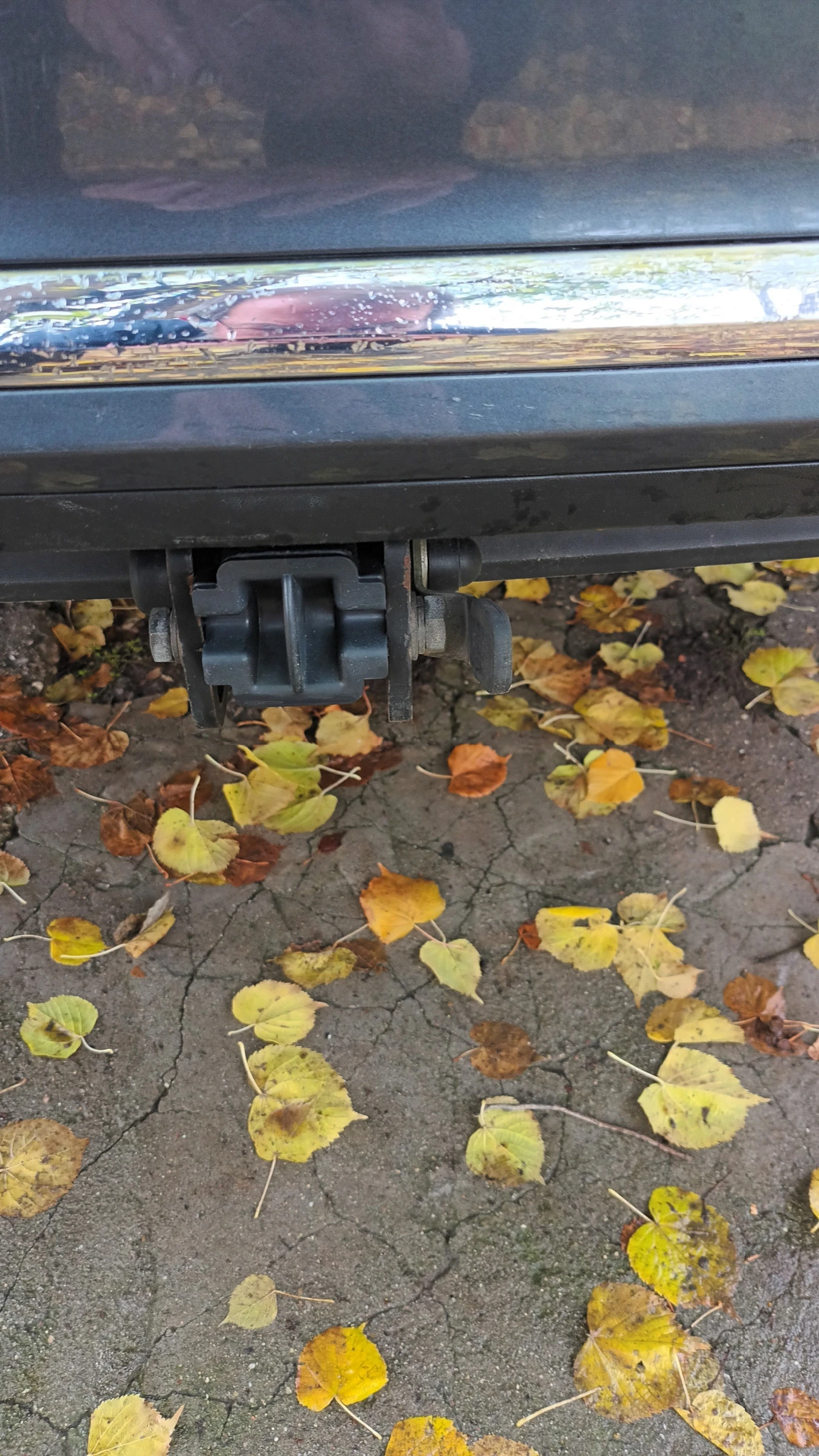 VW Passat | Mobile.bg � ����������� 12