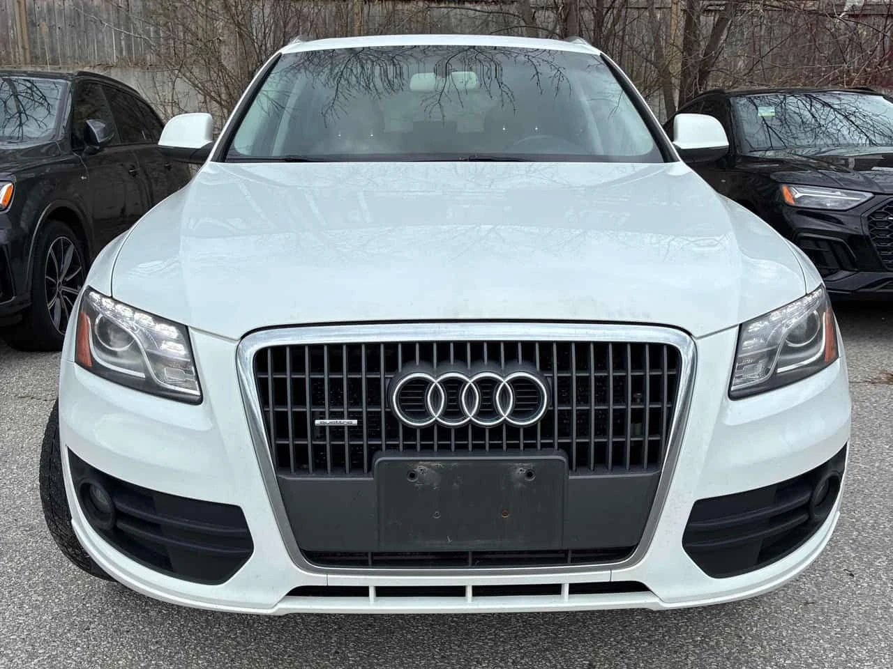 Audi Q5 * 2.0L * CARFAX * АВТОКРЕДИТ БЕЗ ПЪРВОНАЧАЛНА, снимка 6 - Автомобили и джипове - 54647763