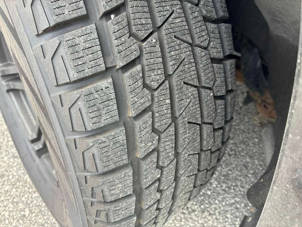 Jeep Grand cherokee * Summit * CARFAX * ЦЕНА ДО БГ, снимка 16 - Автомобили и джипове - 55072735