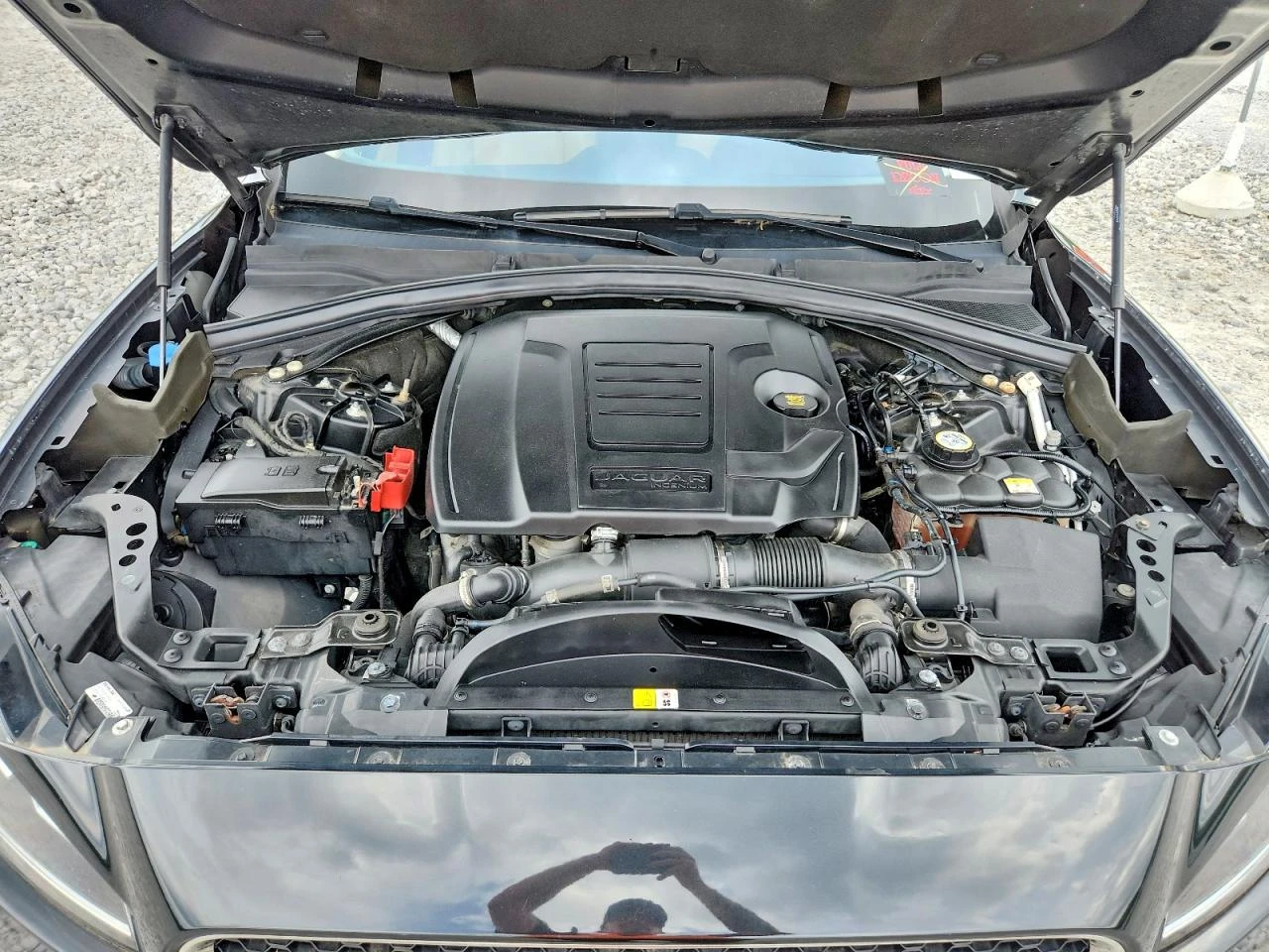 Jaguar F-PACE | Mobile.bg � ����������� 12