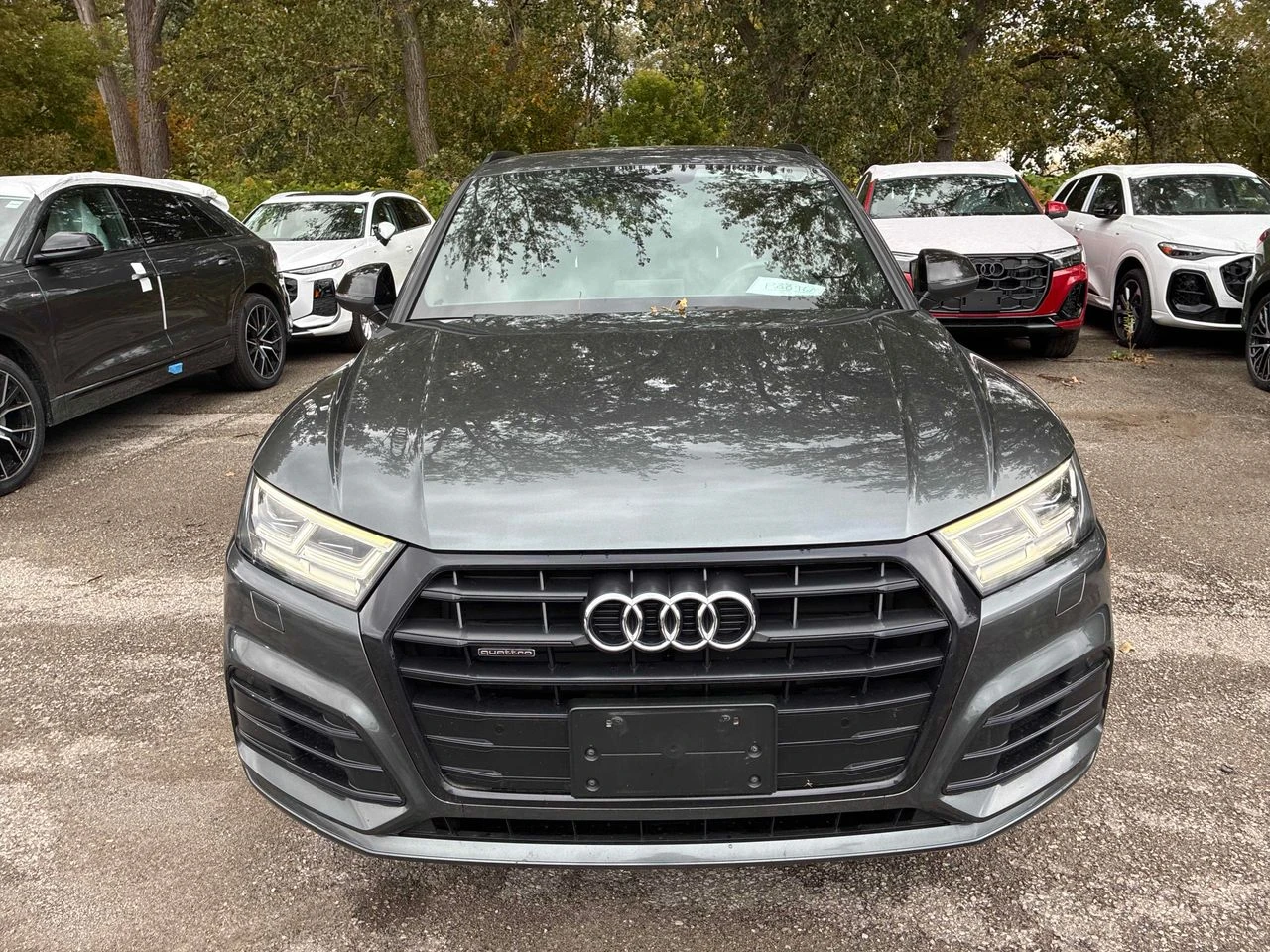 Audi Q5 Progressiv | Mobile.bg � ����������� 6