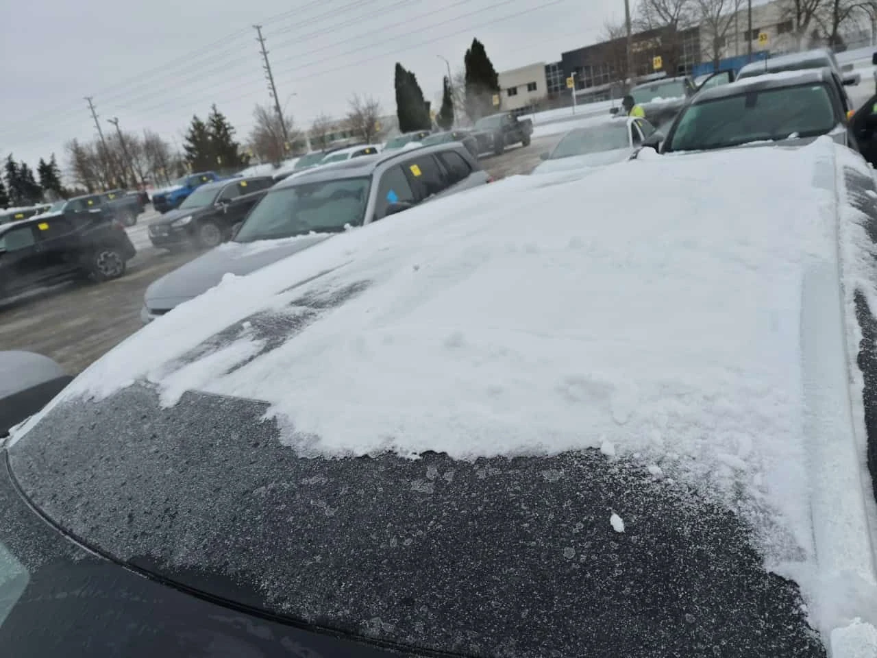 Volvo Xc90 INSCRIPTION/Bowers &Wilkins/360/DIS/PANO/��������� | Mobile.bg � ����������� 17