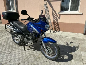 Suzuki XF 