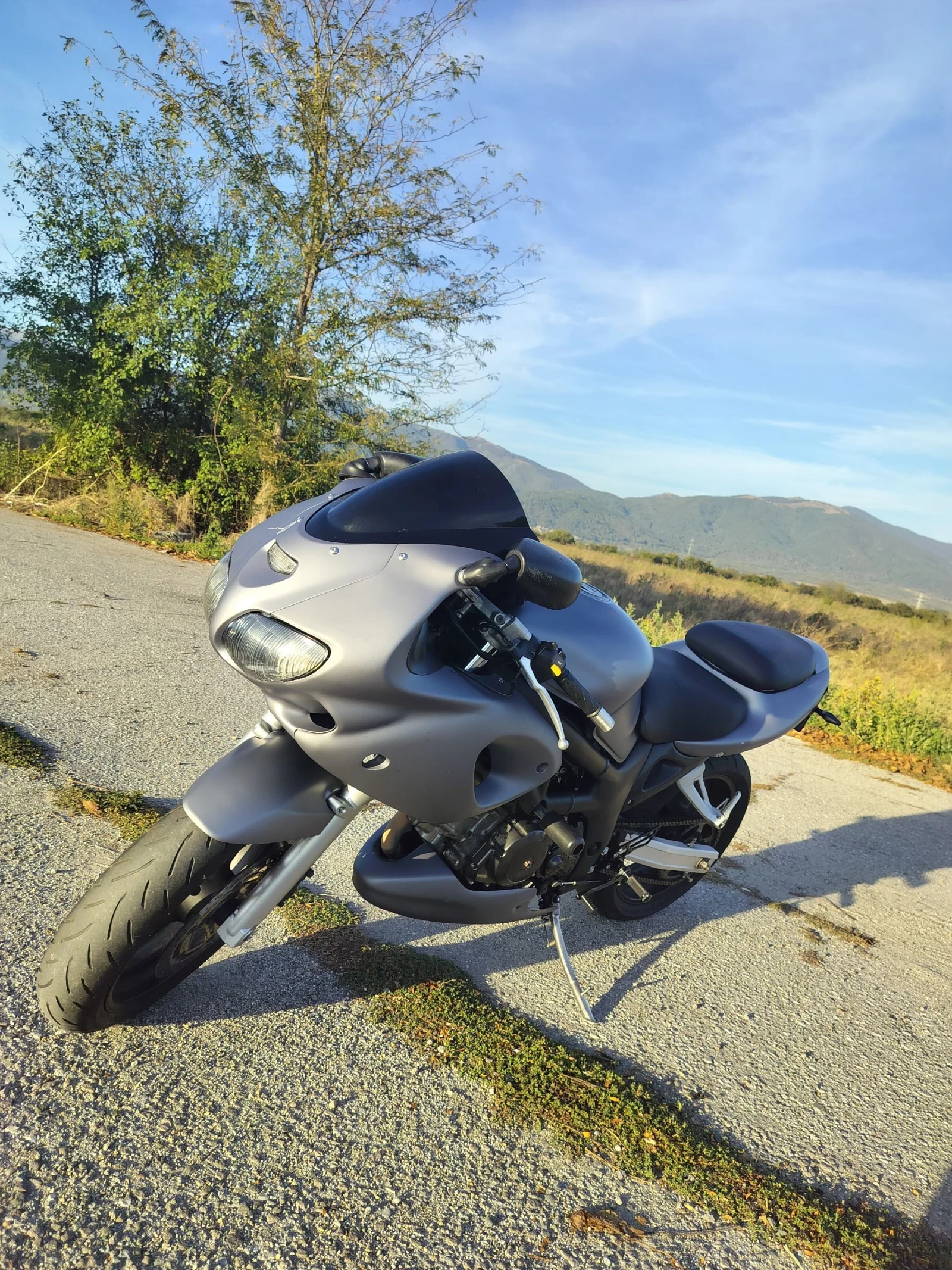 Suzuki SV  - изображение 5