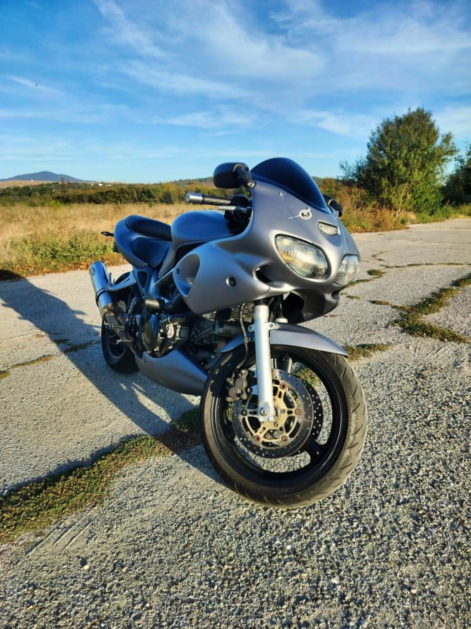 Suzuki SV  - изображение 2
