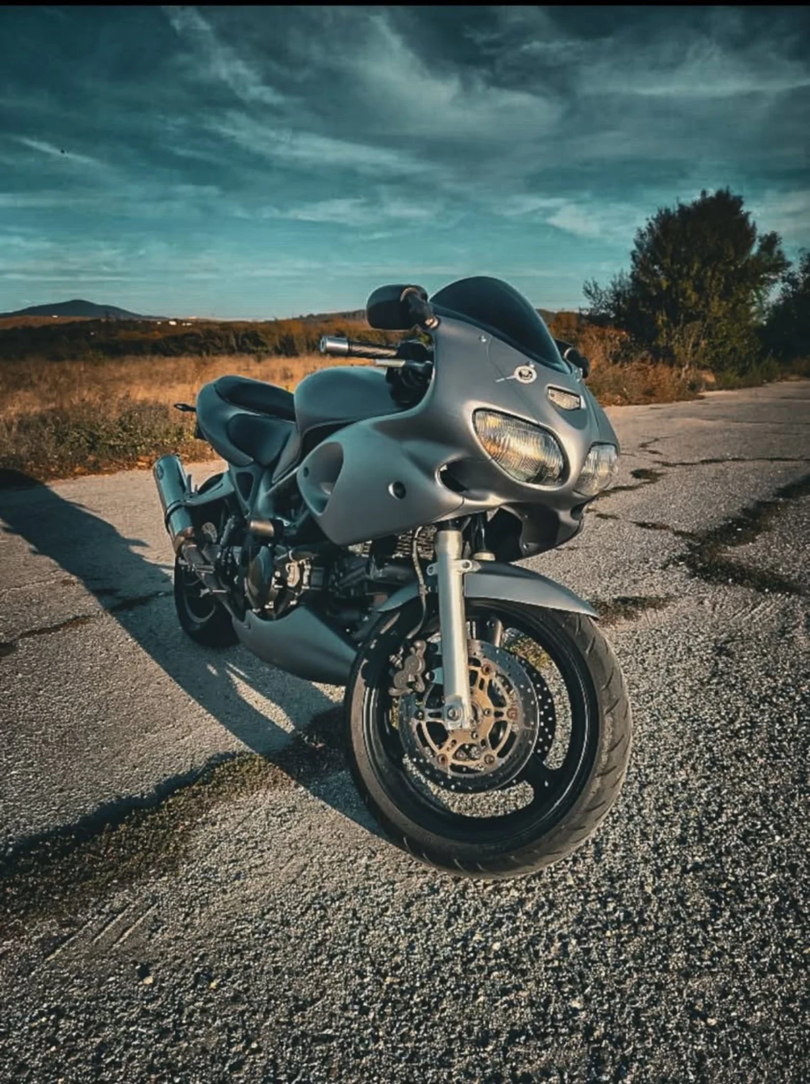 Suzuki SV  - изображение 4