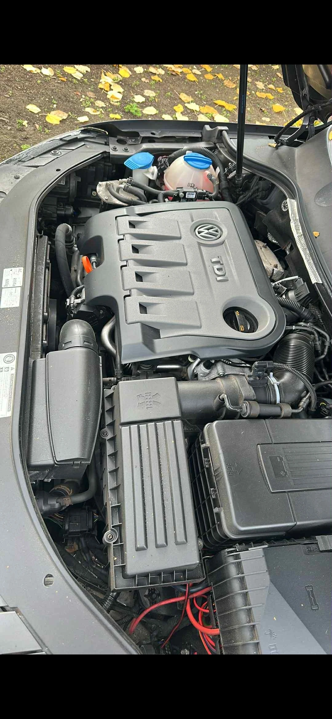 VW Passat | Mobile.bg   13