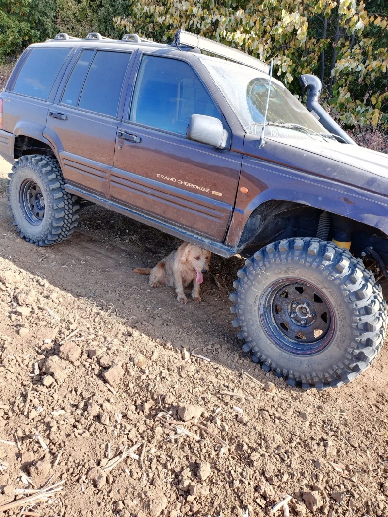 Jeep Grand cherokee 4.0, снимка 9 - Автомобили и джипове - 48522819