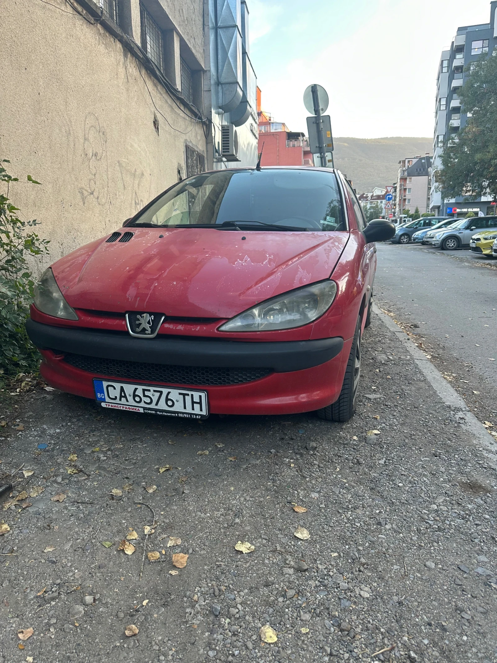 Peugeot 206, снимка 1