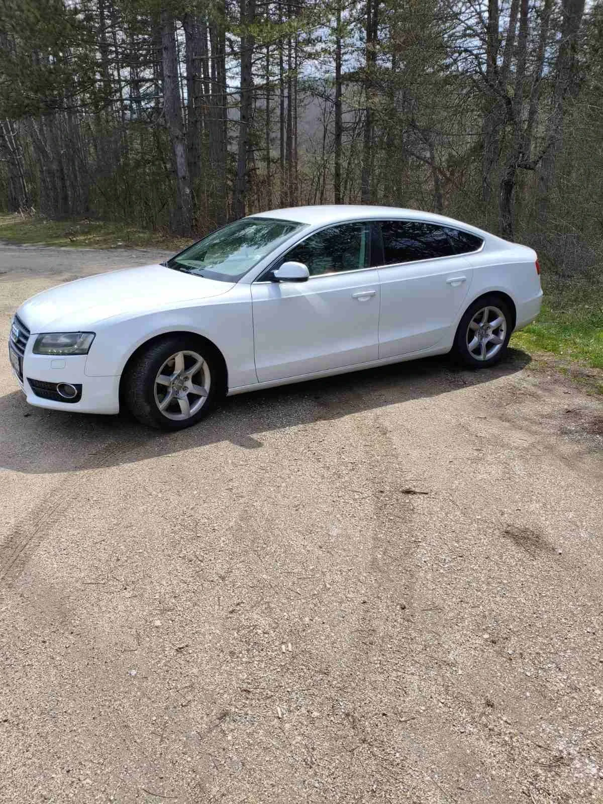 Audi A5, снимка 2 - Автомобили и джипове - 54124715