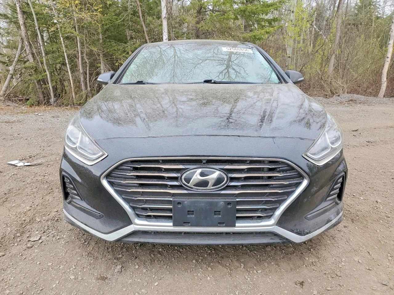 Hyundai Sonata SEL