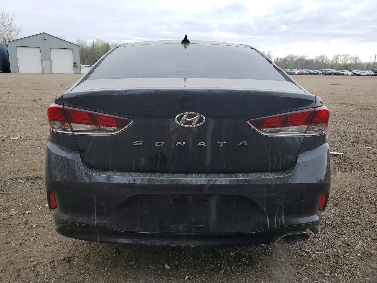 Hyundai Sonata SEL, снимка 6 - Автомобили и джипове - 54639183