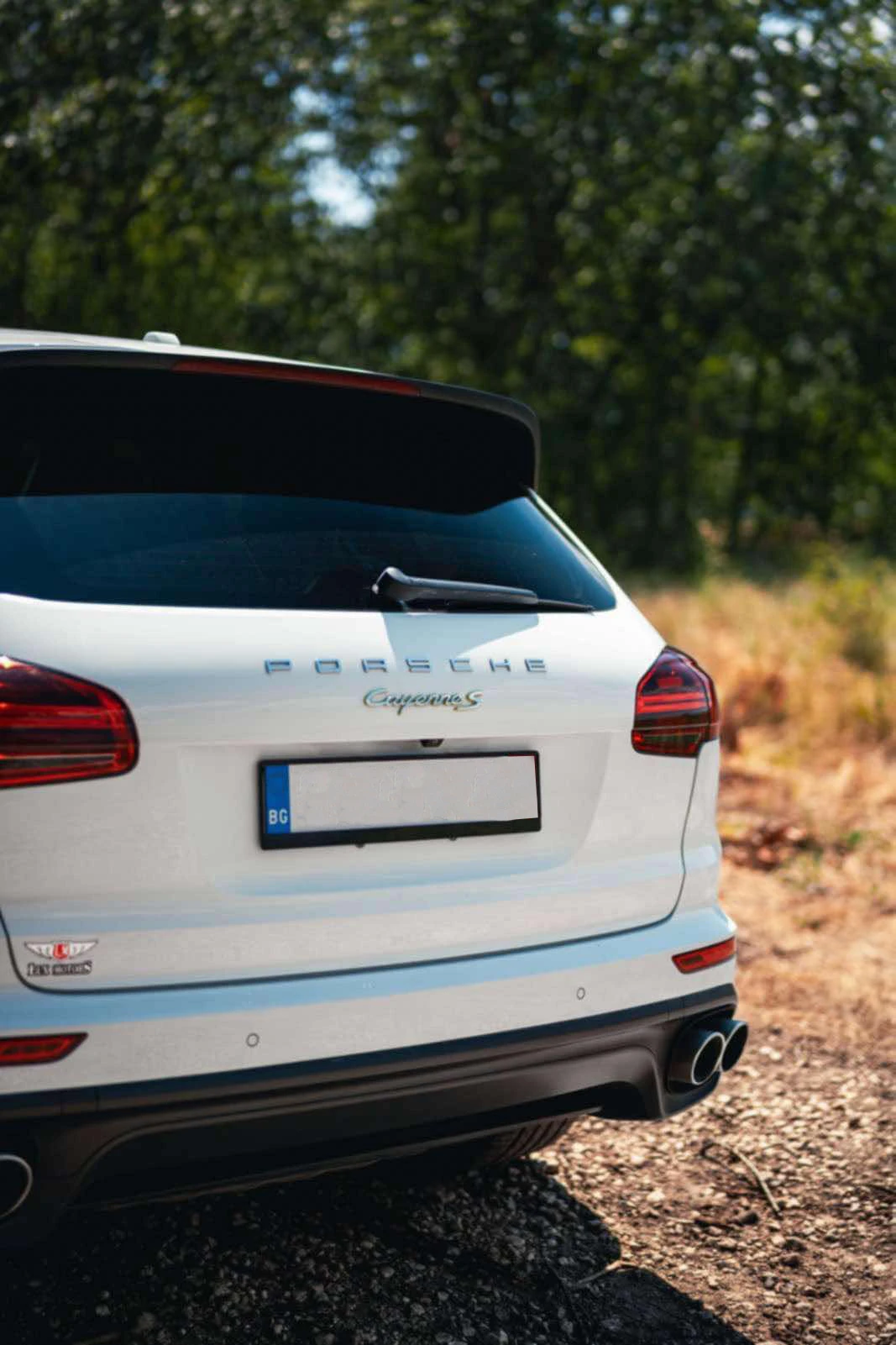 Porsche Cayenne Cayenne S - изображение 7