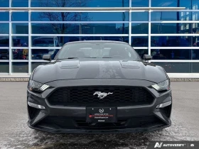 Ford Mustang * EcoBoost Premium Coupe | Manual | Leather |  - 23250 € / 45473.05 лв. - 91114773 8