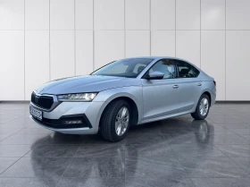����� �� �������� �� Skoda Octavia ������: 190 ���� / �����