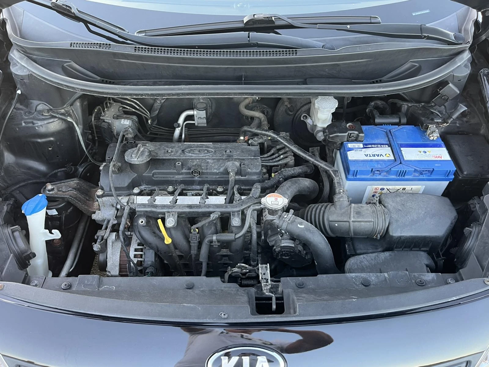 Kia Rio 1.3I 85  EURO 5B 137 000    | Mobile.bg   16